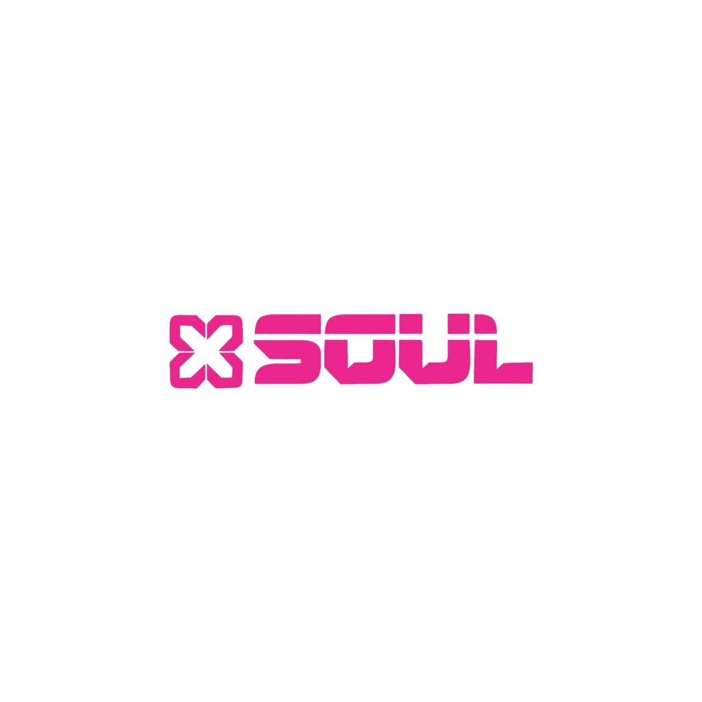 PARLANTE SOUL PLT-XL1500 60W 2x8"