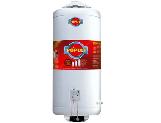 [126-80070] TERMOTANQUE POPULI 70 GE CS